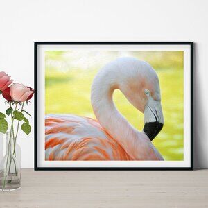 8x10 Pink Flamingo Resting Oil Painting Art Print